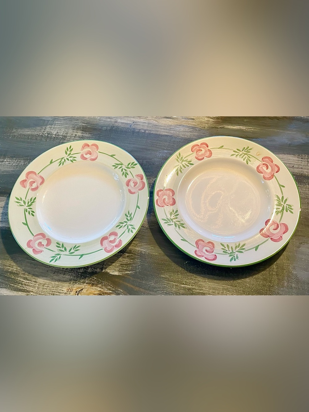 Bella Ceramica “Pastis” Dinner Plates – Set of 2 | Hand-Painted Earthenware